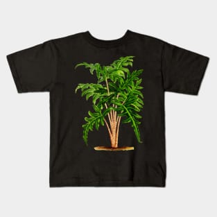 Alocasia portei botanical illustration Kids T-Shirt